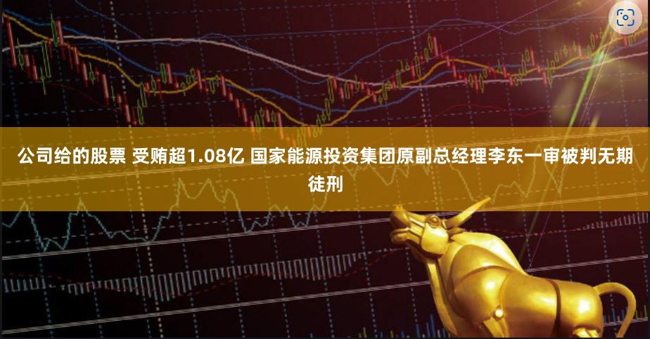 公司给的股票 受贿超1.08亿 国家能源投资集团原副总经理李东一审被判无期徒刑