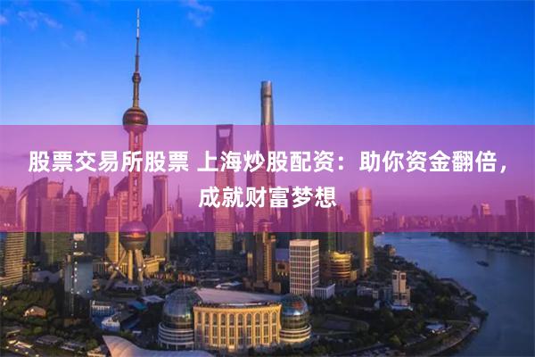 股票交易所股票 上海炒股配资：助你资金翻倍，成就财富梦想