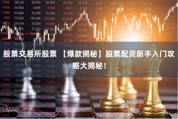 股票交易所股票 【爆款揭秘】股票配资新手入门攻略大揭秘！